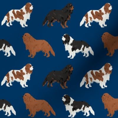 cavalier king charles spaniel navy blue cute dog pet dogs ruby black and tan blemein dog coat fabric