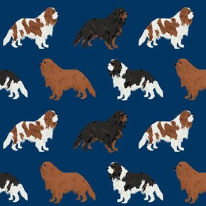 cavalier king charles spaniel navy blue cute dog pet dogs ruby black and tan blemein dog coat fabric