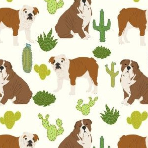 english bulldog cactus cute cacti dog pet dogs cactus pets english bulldogs bulldog