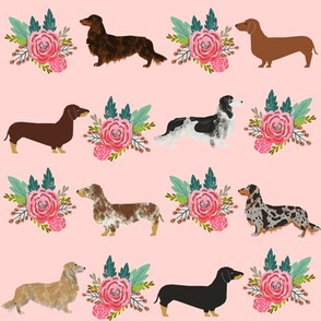 dachshund florals cute dogs pet dogs long haired doxie dachshunds fabric