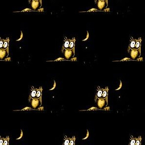 night-night little owl (after dark)