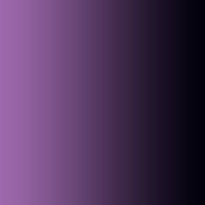  Ombre Black and  Purple
