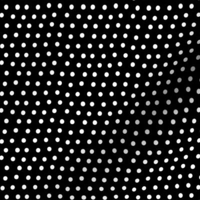 dots white black :: fruity fun