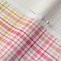 rainbow plaid multi :: fruity fun bigger