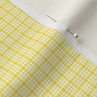 plaid yellow :: fruity fun