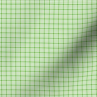 plaid green :: fruity fun