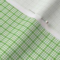 plaid green :: fruity fun