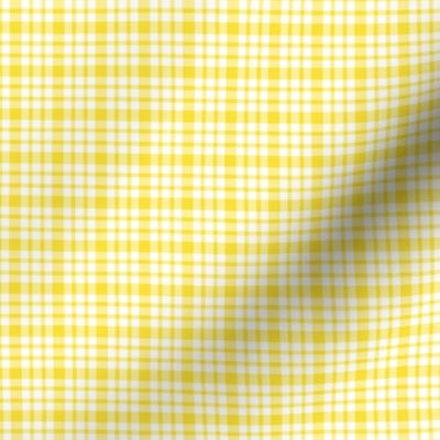 plaid yellow :: fruity fun bigger