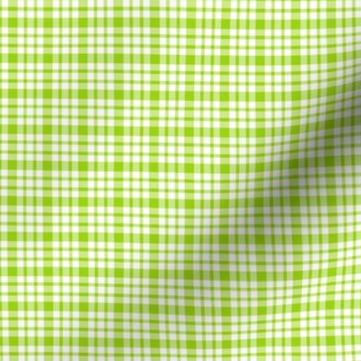 plaid lime green :: fruity fun bigger