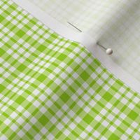 plaid lime green :: fruity fun bigger