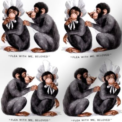 vintage retro kitsch monkeys apes gorillas chimps chimpanzees animals flea with me puns  homophone  bonnets monocle 