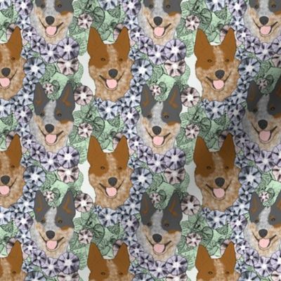 Small Floral Australian cattle dog portraits