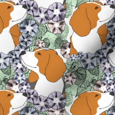 Floral Beagle portraits