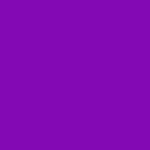 solid purple :: bright stripes