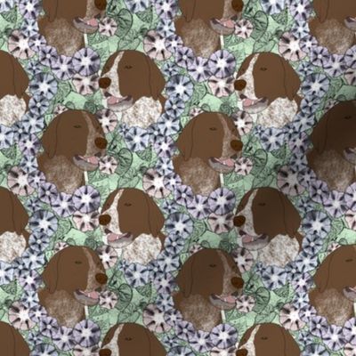 Small Floral German shorthaired Pointer portraits