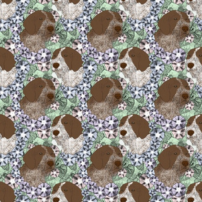 Floral German wirehaired Pointer portraits