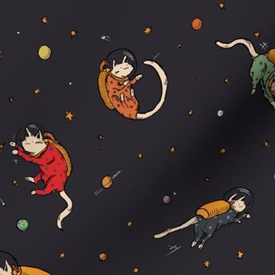 Cats in Space