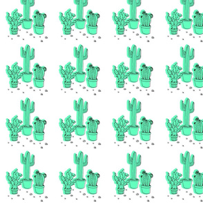 Minty Cacti