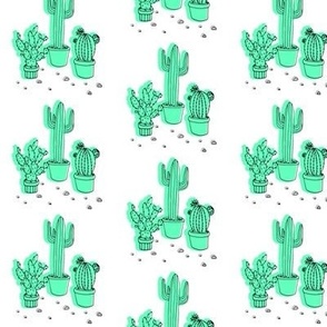 Larger Minty Cacti