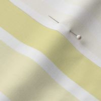 Pastel  Yellow Stripes