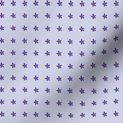 Purple Star Flowers -on Lavender