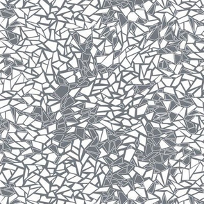 Shattered White and Gray Terrazzo