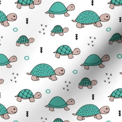 Cute baby turtle pura vida animals collection turtles  tortoise  illustration for kids blue white