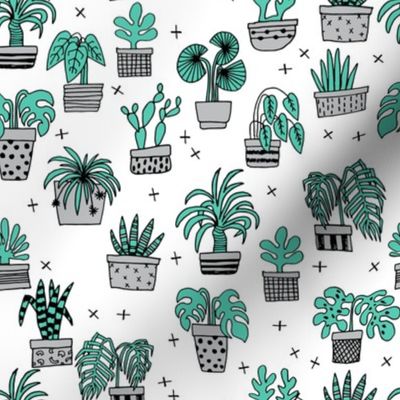 houseplants // green houseplants plant cactus hand drawn illustration 