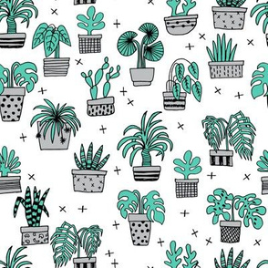 houseplants // green houseplants plant cactus hand drawn illustration 