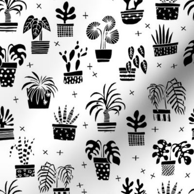 houseplants // black and white plants plant cactus palms palm hand drawn illustration