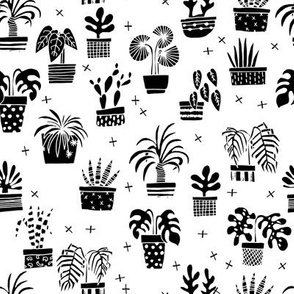 houseplants // black and white plants plant cactus palms palm hand drawn illustration