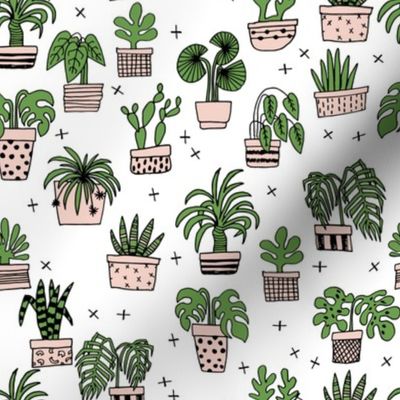 houseplants // plant cactus cacti illustration plant tree pots plant pots