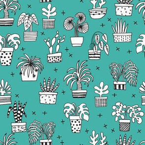 houseplants // teal plants plant cactus cacti hand drawn illustration