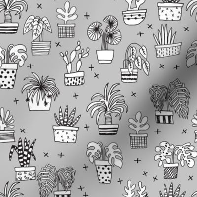 houseplants // grey plant plants cactus cacti hand drawn illustration 2017 