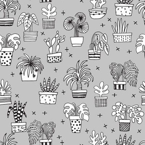 houseplants // grey plant plants cactus cacti hand drawn illustration 2017 