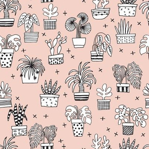 houseplants // palm palm prints cactus cacti plants plant houseplant hand drawn illustration