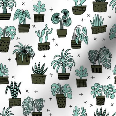 houseplants // plants plant cactus cacti plant hand drawn illustration