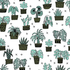 houseplants // plants plant cactus cacti plant hand drawn illustration