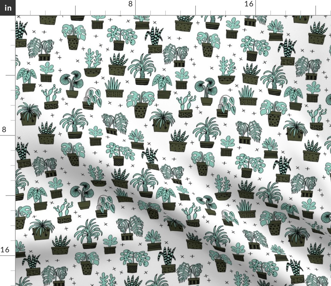 houseplants // plants plant cactus cacti plant hand drawn illustration