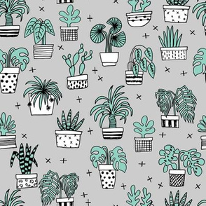 houseplants // plants palm print plants houseplant cactus cacti grey kids plant plants