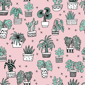 houseplants // plants palm palm print cactus cacti pink light pink palms