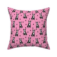 boston terrier // boston terriers pink girls sweet pet dog dog breed fabric