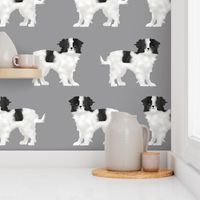 japanese chin dog grey japanese pet pets dog dog fabric