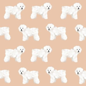 bichon frise sand tan bichon dog breed fabric dogs cute dog 