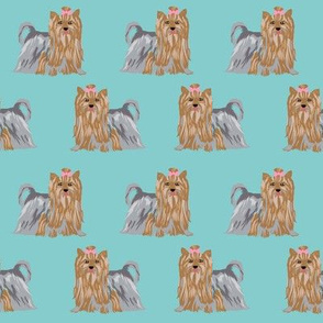 yorkshire terrier yorkie cute show coat long haired yorkie fabric cute dog breed fabric for dog lovers