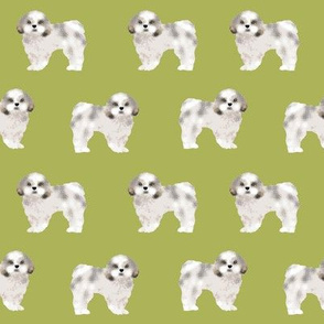 shih tzu fabric lime cute dog fabric toy breed dog sweet shih tzu 