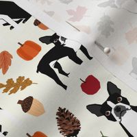 boston terrier autumn dogs dog pet leaves pumpkins pinecones woodland forest 