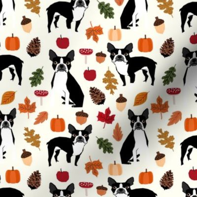 boston terrier autumn dogs dog pet leaves pumpkins pinecones woodland forest 