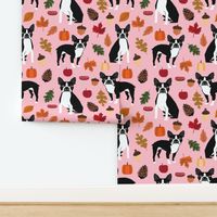 boston terrier pink autumn leaves fall pinecones leaf 