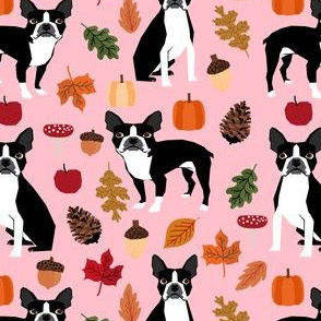 boston terrier pink autumn leaves fall pinecones leaf 